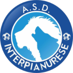 Interpianurese