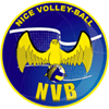 Nice Volley Ball