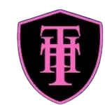Trondheim Topphaandballklubb