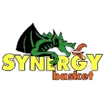 Synergy Basket Valdarno