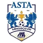 Team