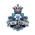 Snow Storm II