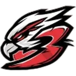 FLC 03