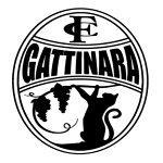 Gattinara F. C.