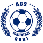 ACS Minifotbal Gorj