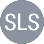Santos Lisboa E / Silva Ramos A P