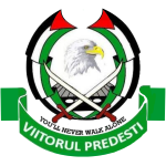 Viitorul Predeşti