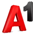 A1