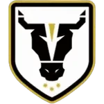 Bulls FC Academy