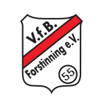 VfB Forstinning