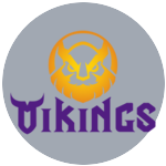 MGN Vikings Esports
