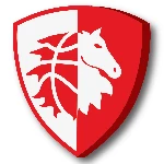 Valdelsa Basket