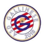 A.S.D. Gallinese DL Futsal