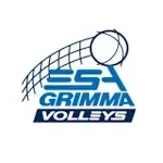 VV Grimma