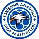 Eskişehir Anadolu Spor Faaliyetleri