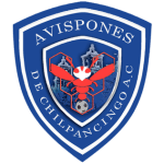 Avispones Chilpancingo