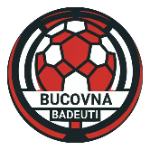 Bucovina Badeuti