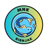 MNK Ribnjak