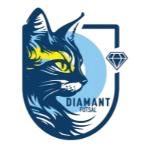 Diamant Futsal