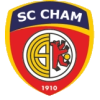 Team
