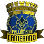 Team