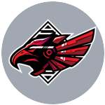 Aalborg Rebels