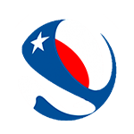 Copa Chile, Group D