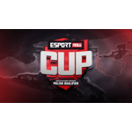 ESPORT NOW Cup