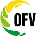 4. Liga OFV