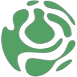 Paraense, Serie A