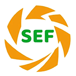 SEF Interclubes U15, Feminino 