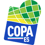 Copa Espirito Santo