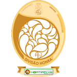 A.F. Viseu Divisão de Honra - Hortirelva