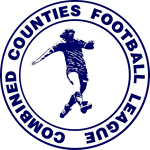Combined Counties League Division One