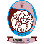 A.F. Viseu Campeonato U23