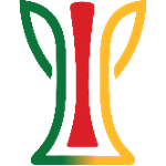 U20 Copa Sul - Mata-mata