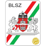 BLSZ I. osztály