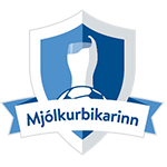 Icelandic Men's Football Cup